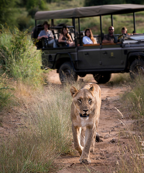 africa